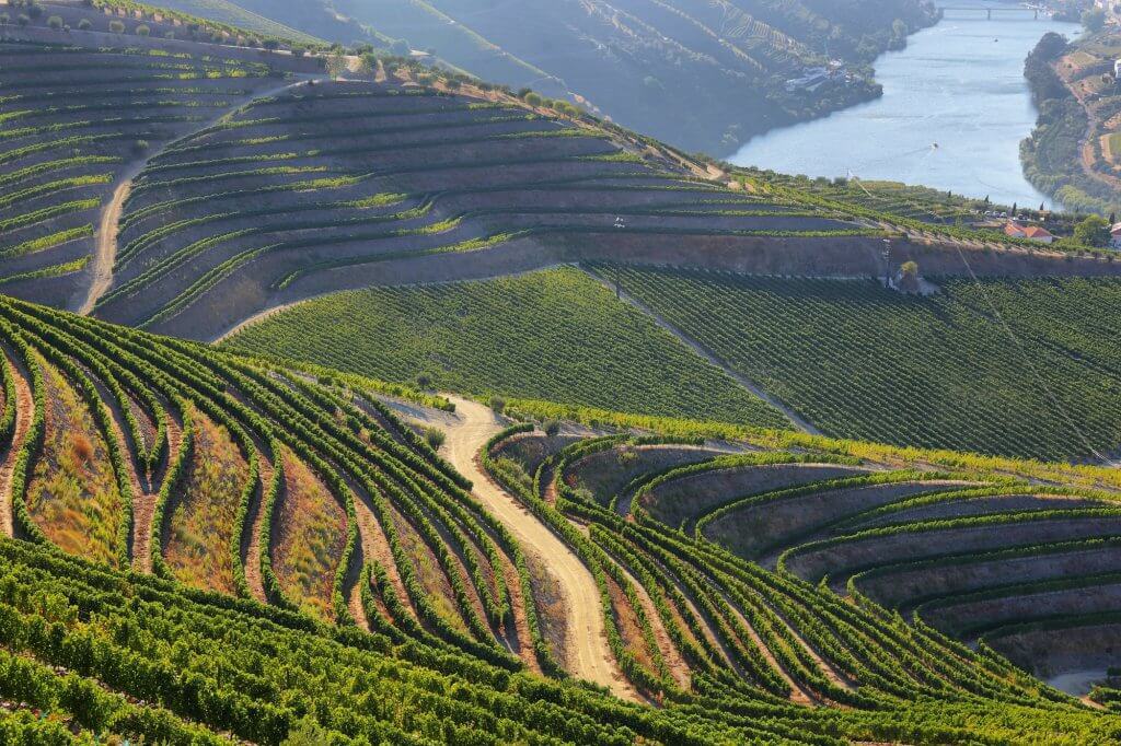 Amazing views of Douro vineyards and river from Valença do Douro, Portugal