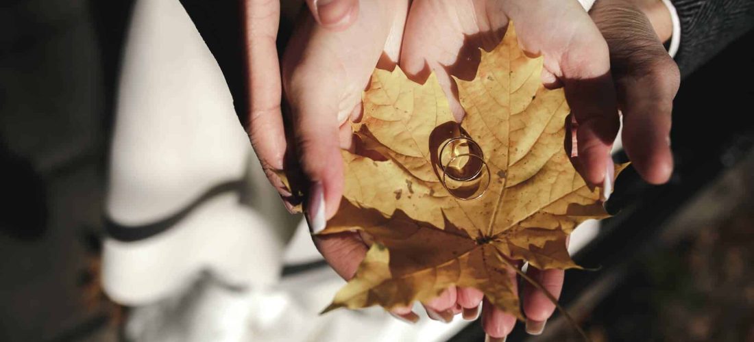 Golden wedding rings